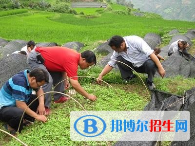 大理中專學(xué)校錄取分?jǐn)?shù)線