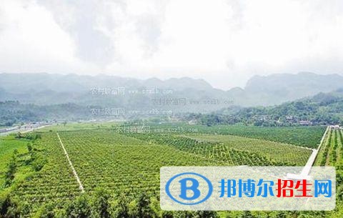 大理中專學校專業(yè)有哪些