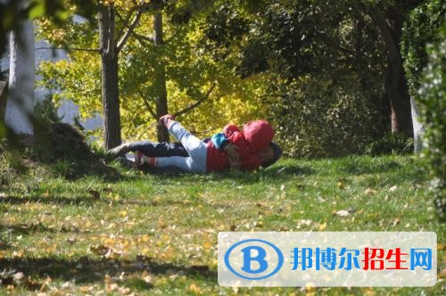 大理有哪些中專學校就業(yè)最好