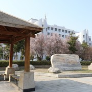 亳州職業(yè)技術學院單招