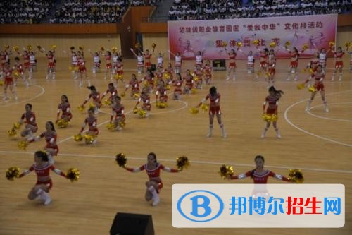 楚雄讀中專學(xué)?？梢钥即髮W(xué)嗎