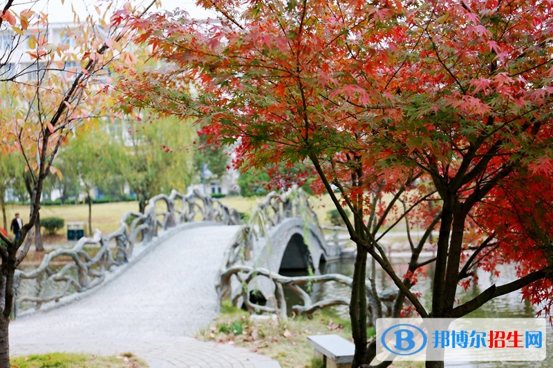 合肥財經(jīng)職業(yè)學院單招報名時間