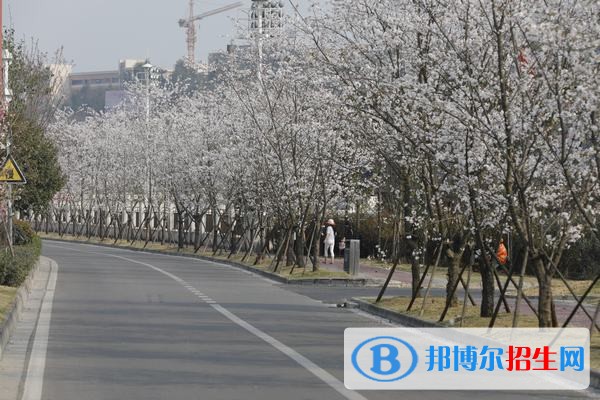 眉山職業(yè)技術(shù)學院五年制大專學校地址