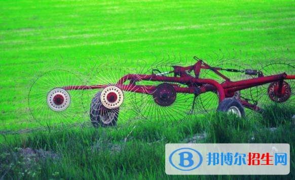 紅河中專學校學什么專業(yè)