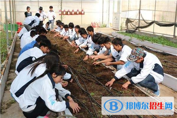 紅河中專學校學什么最好