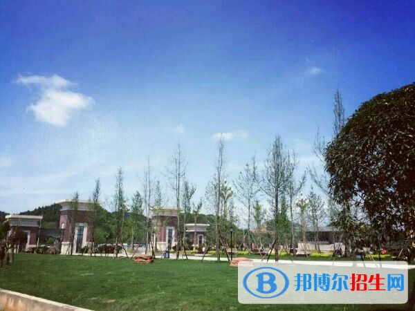 四川護(hù)理職業(yè)學(xué)院五年制大專(zhuān)報(bào)名條件