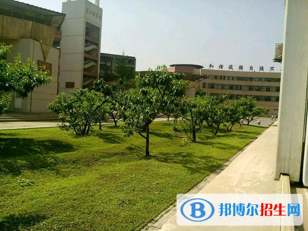 四川護(hù)理職業(yè)學(xué)院五年制大專招生辦電話