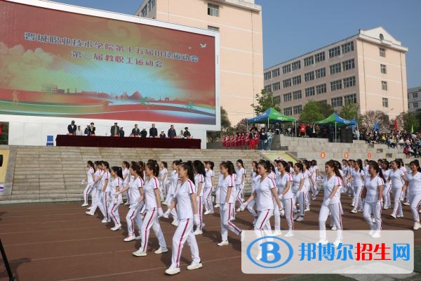 晉城職業(yè)技術(shù)學院2019年單招錄取分數(shù)線