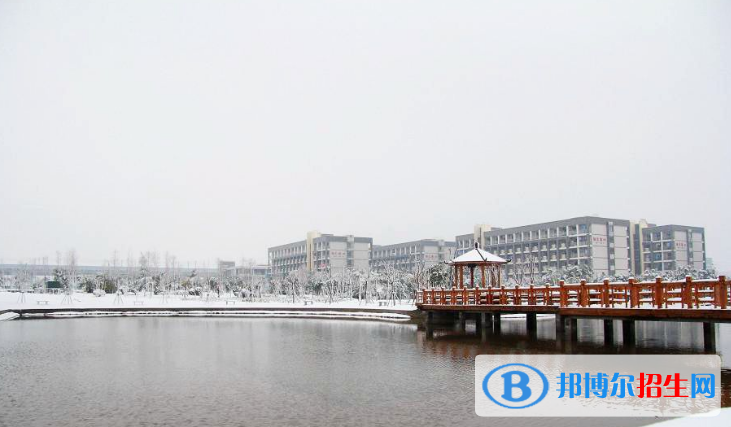 安徽國際商務職業(yè)學院2019年單招錄取分數(shù)線