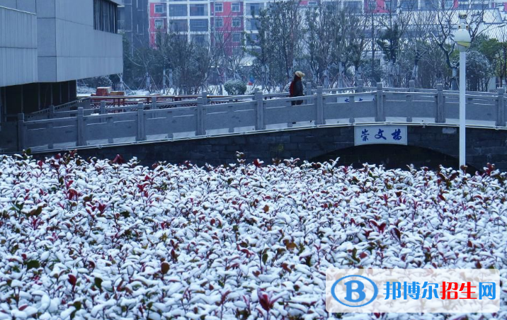 安徽國際商務(wù)職業(yè)學(xué)院單招報(bào)名條件