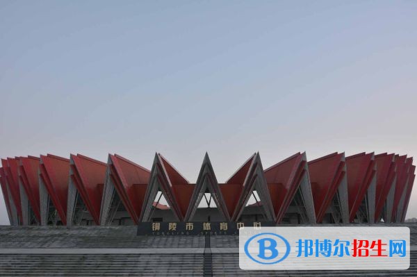 銅陵職業(yè)技術(shù)學(xué)院?jiǎn)握袌?bào)名條件