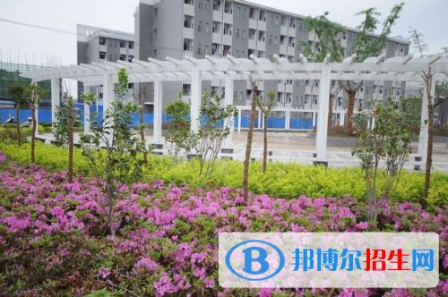 安徽涉外經(jīng)濟(jì)職業(yè)學(xué)院單招成績查詢時間