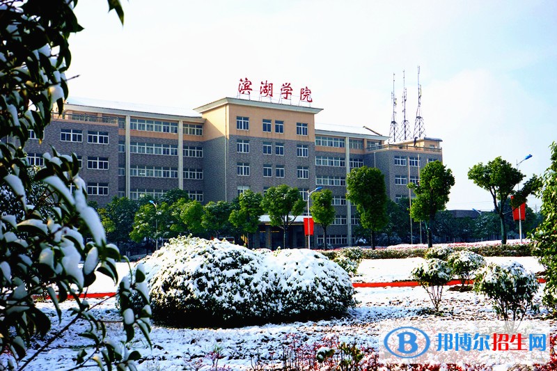 合肥濱湖職業(yè)技術學院單招簡章