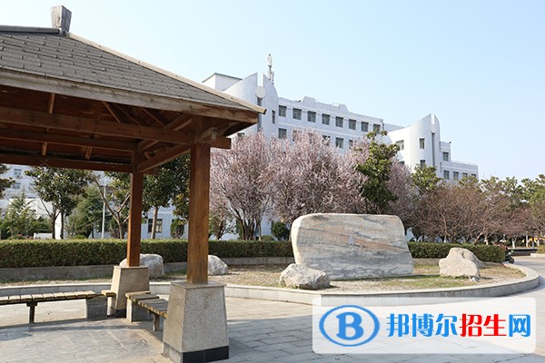 亳州職業(yè)技術學院單招簡章