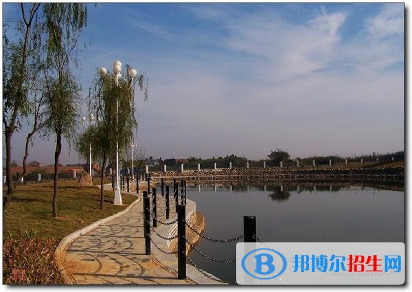 宣城職業(yè)技術(shù)學(xué)院2019年單招錄取分?jǐn)?shù)線