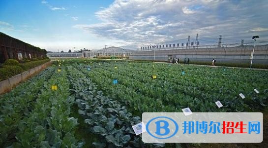 楚雄中專學校都有哪些專業(yè)好