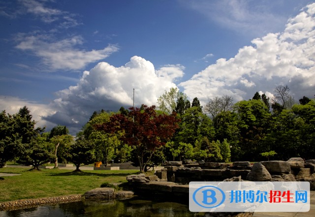 麗水職業(yè)技術學院2019年單招錄取分數(shù)線