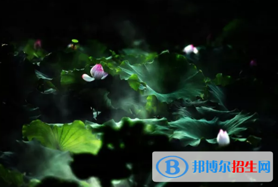 浙江廣廈建設(shè)職業(yè)技術(shù)學(xué)院?jiǎn)握袌?bào)名時(shí)間