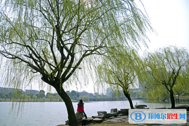 金華職業(yè)技術(shù)學(xué)院2019年單招錄取分?jǐn)?shù)線
