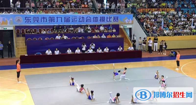 東莞體育運動學(xué)校招辦聯(lián)系電話