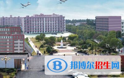 湖南都市職業(yè)學院2019年單招錄取分數(shù)線