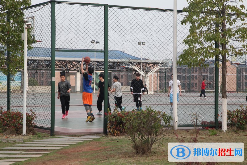 長沙商貿旅游職業(yè)技術學院2019年單招錄取分數線