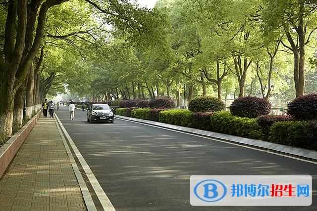 益陽職業(yè)技術(shù)學院單招成績查詢時間