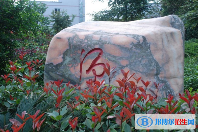 湖南現(xiàn)代物流職業(yè)技術(shù)學(xué)院單招報名條件
