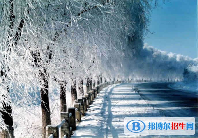 湖南環(huán)境生物職業(yè)技術(shù)學院2019年單招錄取分數(shù)線