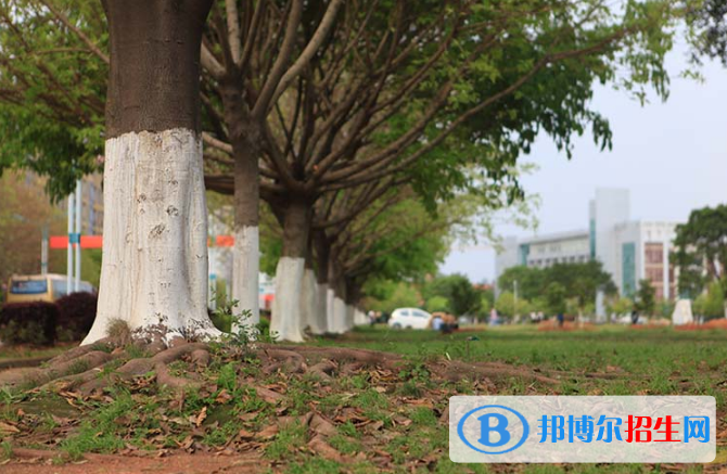 江西應(yīng)用技術(shù)職業(yè)學(xué)院單招報名時間