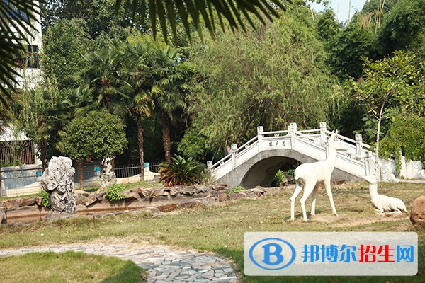 江西中醫(yī)藥高等?？茖W(xué)校2019年單招錄取分?jǐn)?shù)線