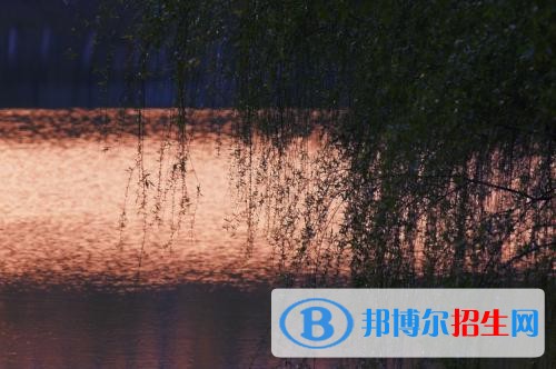江西新能源科技職業(yè)學(xué)院單招報(bào)名條件