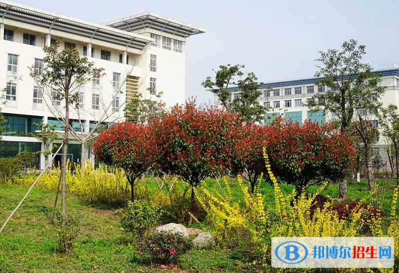 湖北中醫(yī)藥高等?？茖W(xué)院單招簡章