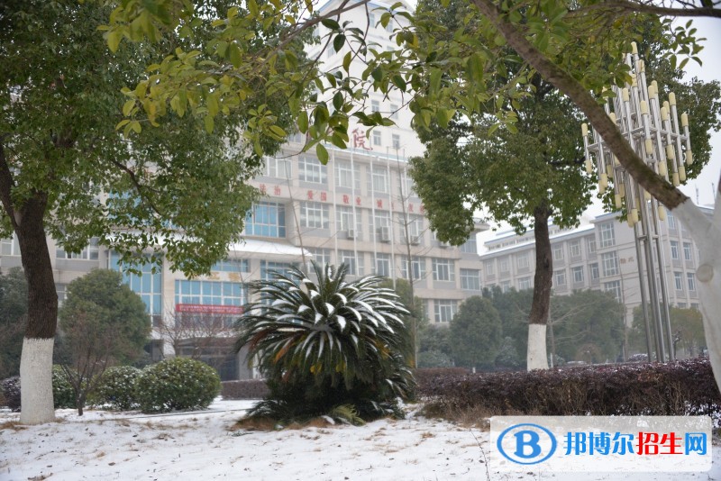 長江工程職業(yè)技術(shù)學(xué)院單招報名條件