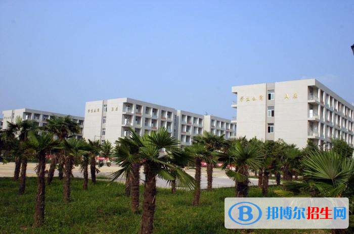 許昌電氣職業(yè)學院2019年單招錄取分數(shù)線