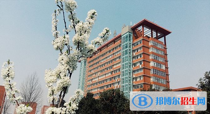 洛陽科技職業(yè)學院單招報名條件
