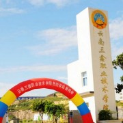 云南三鑫職業(yè)技術(shù)學院五年制大專