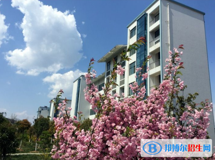 襄陽職業(yè)技術(shù)學(xué)院單招報(bào)名條件
