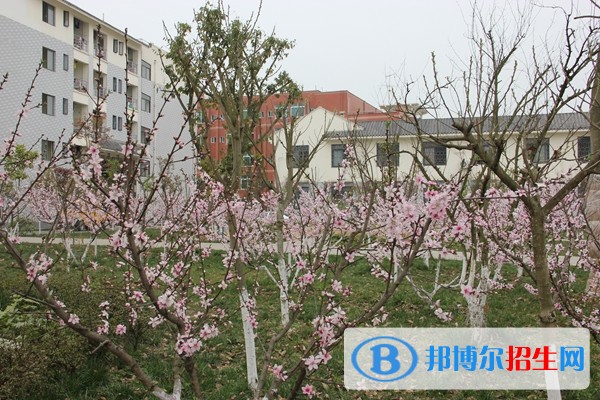 孝泉師范學(xué)校五年制大專收費(fèi)標(biāo)準(zhǔn)