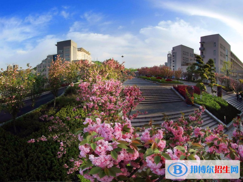 湖北工業(yè)職業(yè)技術(shù)學(xué)院?jiǎn)握袌?bào)名條件