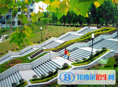 恩施職業(yè)技術(shù)學(xué)院單招報名條件