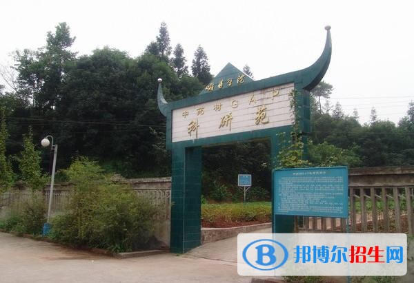 樂(lè)山初中畢業(yè)讀什么中專(zhuān)學(xué)校好