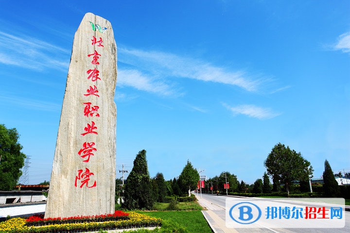 北京農(nóng)業(yè)職業(yè)學(xué)院?jiǎn)握泻?jiǎn)章