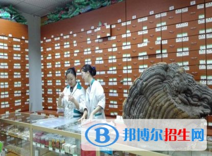 樂山去中專學校學什么專業(yè)好