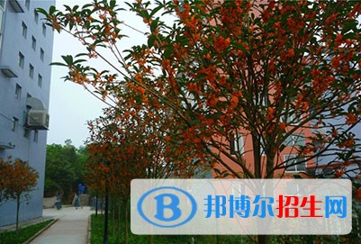 德陽(yáng)中專學(xué)校有哪些專業(yè)好