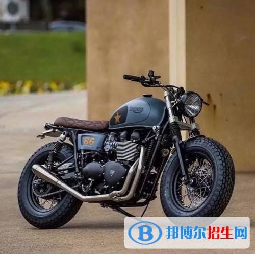 現(xiàn)代汽車、摩托車維修專業(yè) (4)