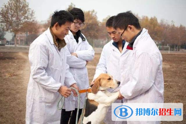 蘭州中專學校都能學什么