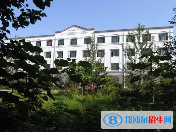 無極縣野風(fēng)美術(shù)中學(xué)2019年報名條件、招生對象