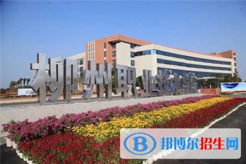 柳州職業(yè)技術(shù)學(xué)院單招2019年單獨(dú)招生成績查詢、網(wǎng)址入口