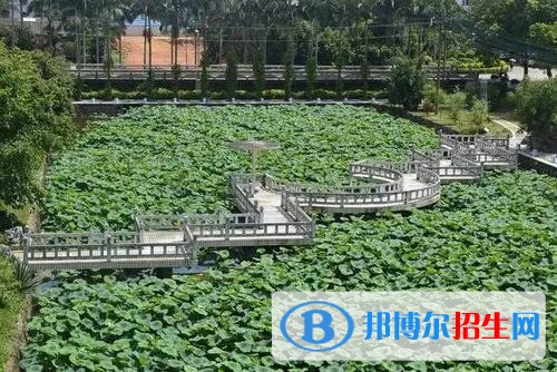 廣西農業(yè)職業(yè)技術學院單招2019年單獨招生報名條件、招生要求、招生對象
